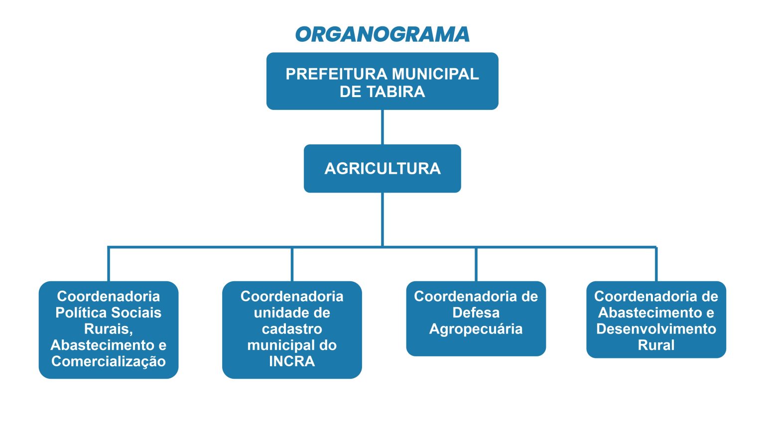 organograma