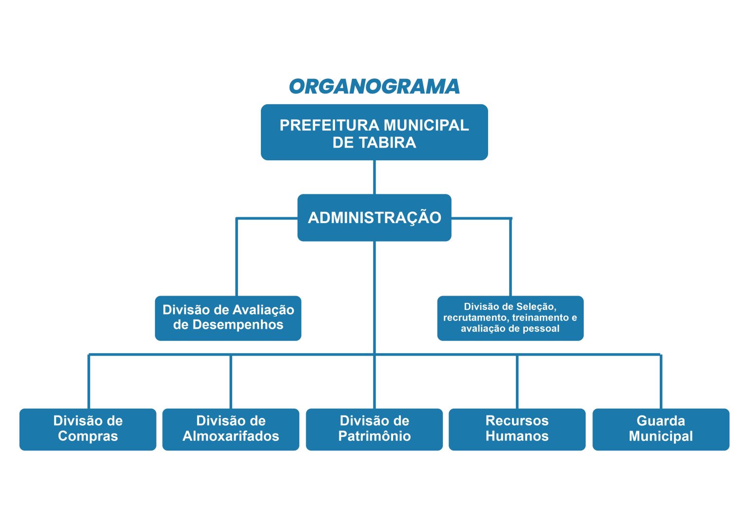 organograma